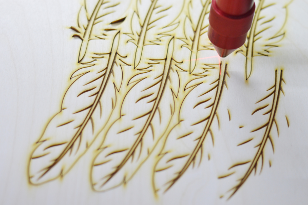Laser engraving of feather design